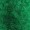 Green Afro Wig